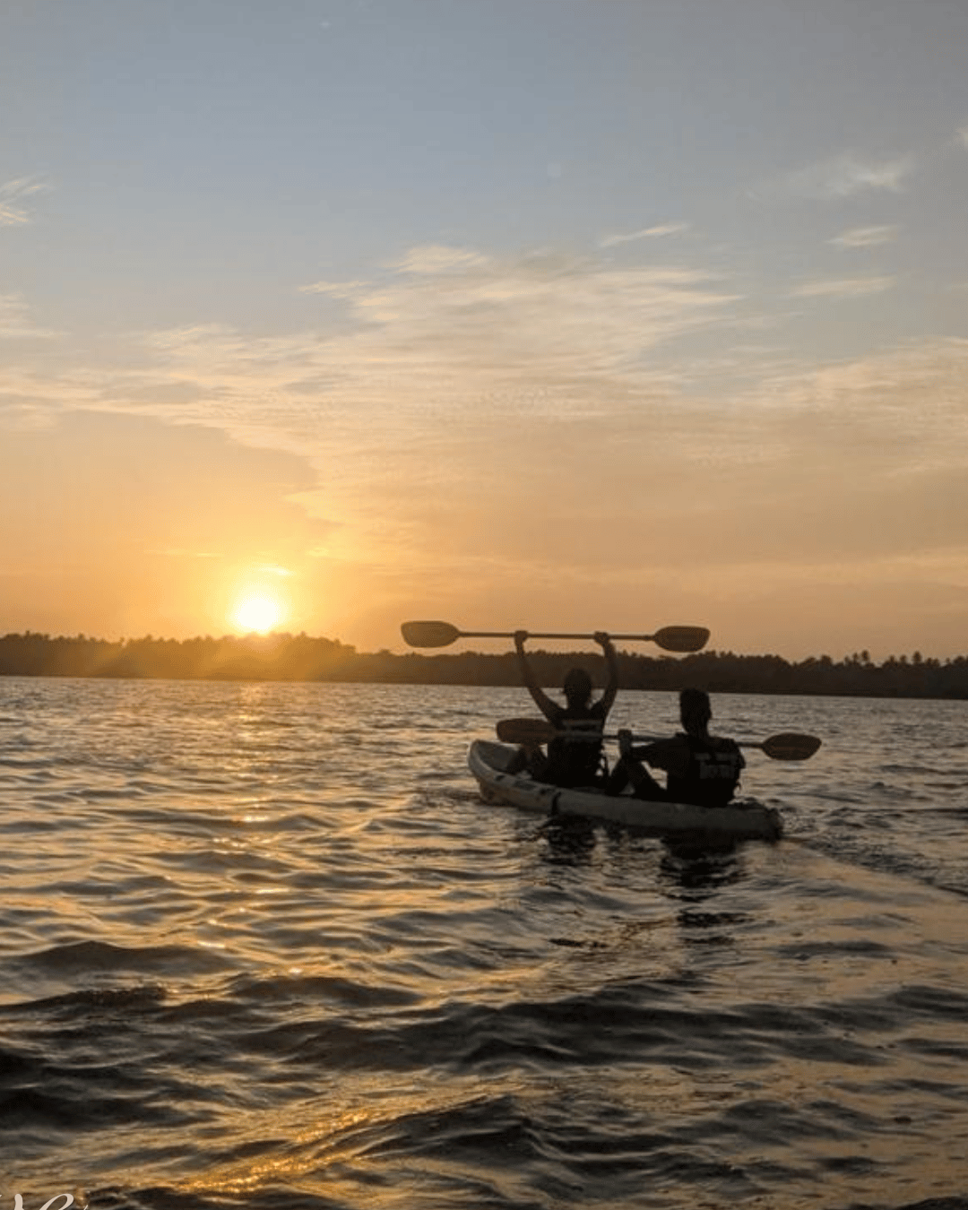 kayaking in negambo lagoon