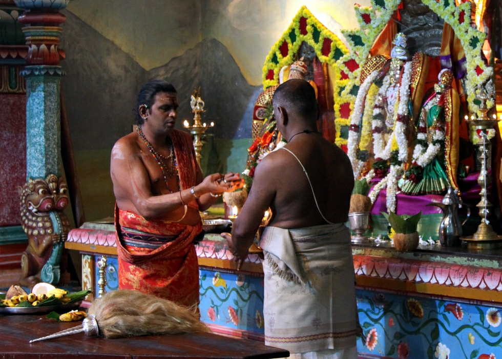 Thai pongal festivities