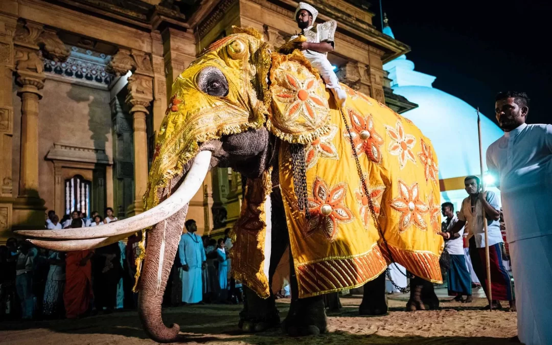 Duruthu Perahera (January 2025)