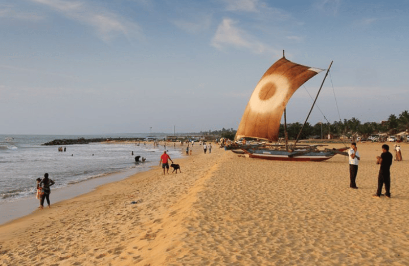 Palm-lined Negombo beach on a calm morning before airport departure