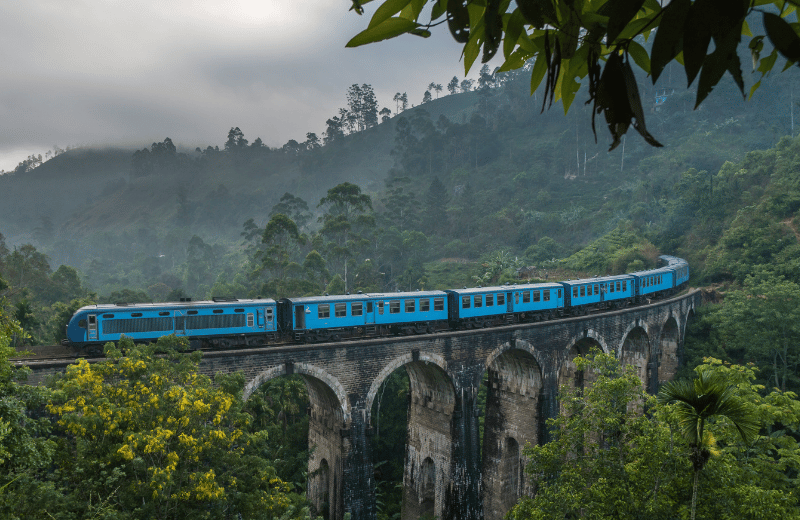 Train crossing the Nine Arch Bridge through tea fields near Ella
