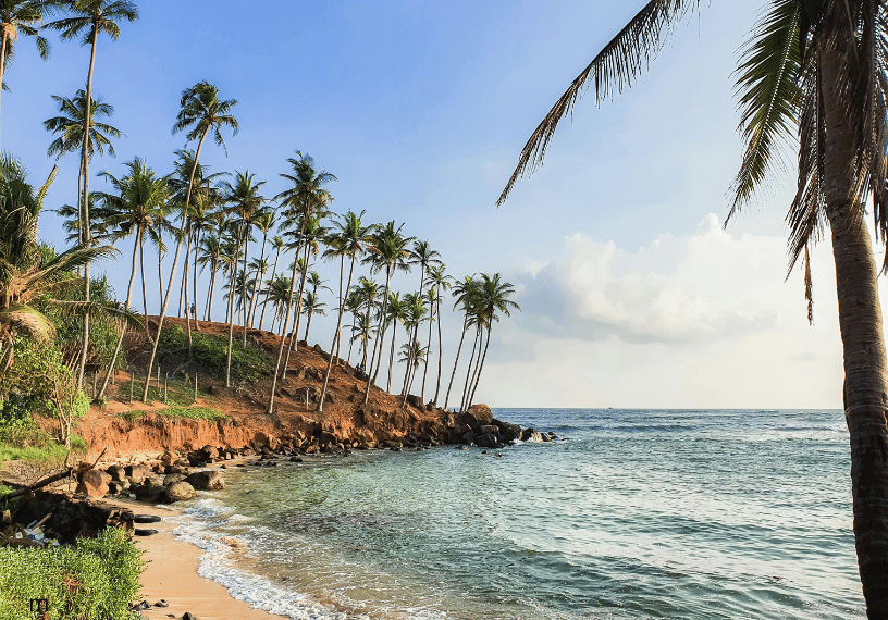 Palm-fringed crescent beach at Mirissa on Sri Lanka's south coast